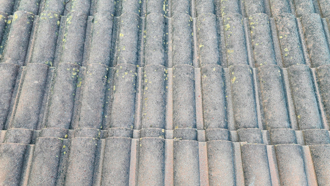 Does Insurance Cover Roof Replacement in Florida?
