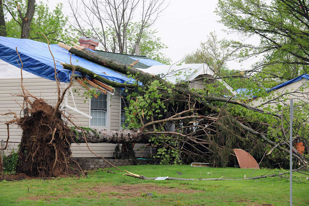 guide to tropical storms