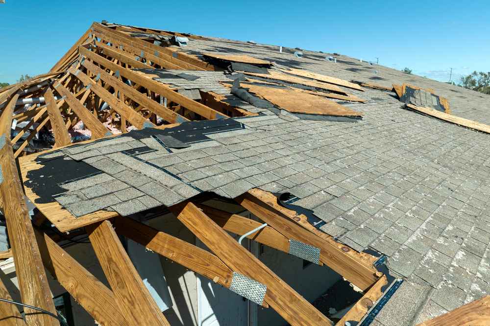top storm damage expert in North Port FL
