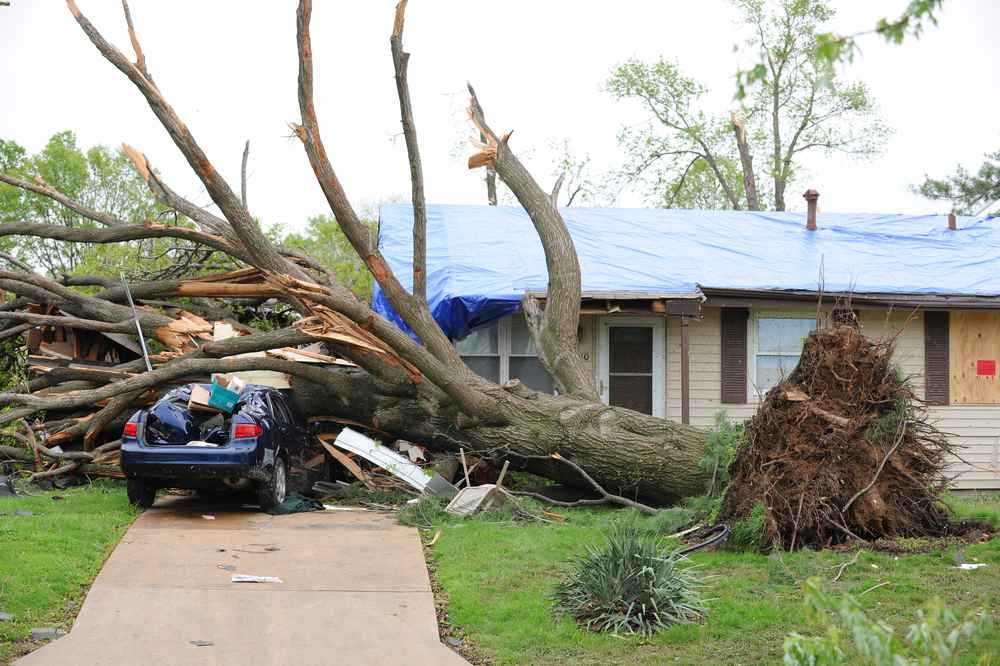 storm damage expert in Spring Hill FL