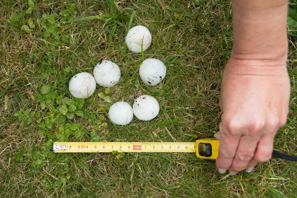 expert in hailstorm in Florida