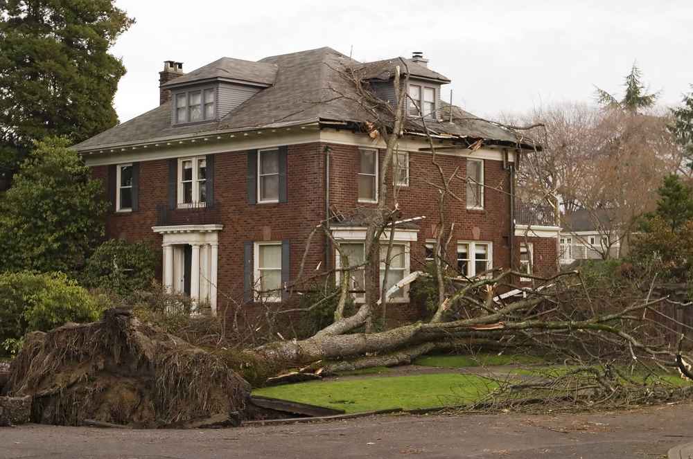 top storm damage repair expert in Sarasota FL